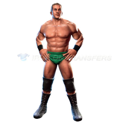 WWE Iron-on Stickers (Heat Transfers)NO.3966